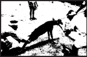 Kungumam magazine, Kungumam weekly magazine, Tamil Magazine
Kungumam, Tamil magazine, Tamil weekly magazine, Weekly magazine